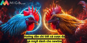 Huong dan chi tiet ca cuoc da ga mig8 danh cho newbie fotor 20241209204247