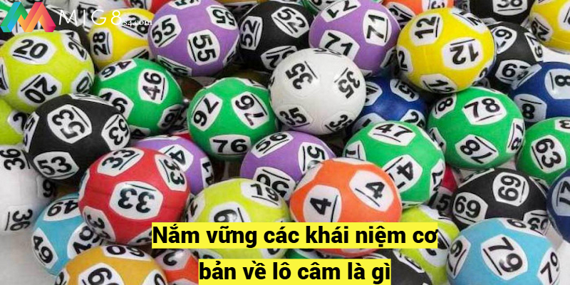 Lô Câm Là Gì? Cách Chinh Phục Đỉnh Cao Chơi Đề Tại Mig8 Nắm vững các khái niệm cơ bản về lô câm là gì?