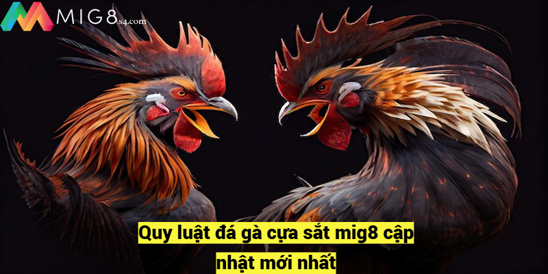 Luật Đá Gà Cựa Sắt Mig8 Với Các Quy Định Cơ Bản Cần Biết Quy luật đá gà cựa sắt mig8 cập nhật mới nhất